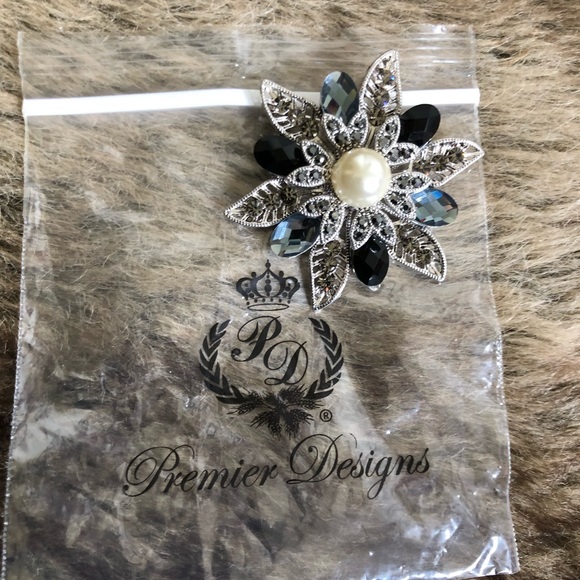 Brooch/Pin/Charm - Picture 1 of 2